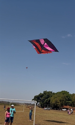 Campeonato de Pipas reúne famílias e celebra cultura popular em Cardoso (Foto: Divulgação)