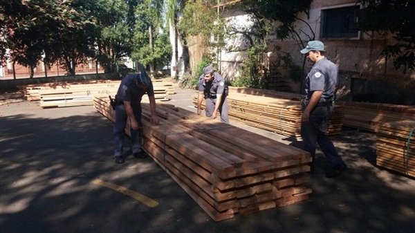 Operação da Polícia Ambiental apreende madeira ilegal na região de Rio Preto