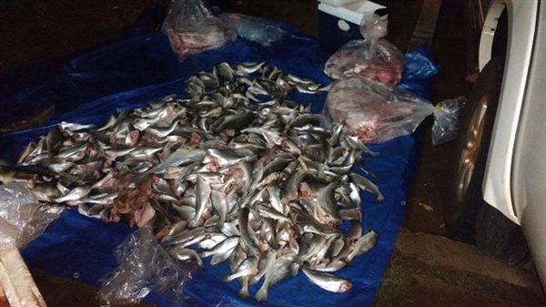 PM Ambiental apreende 103 quilos de peixe