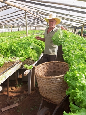 As verduras e os legumes são elementos importantes (Foto: Santa Casa de Votuporanga)