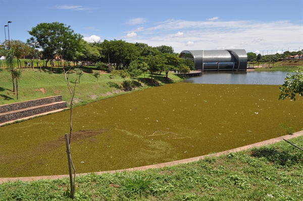  Boa parte do lago no Parque da Cultura já está tomada por aguapés (Foto: A Cidade)