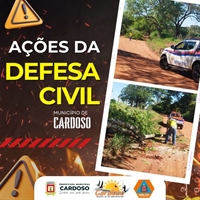 A equipe da Defesa Civil não mediu esforços ao realizar podas de árvores em situações complicadas (Foto: Divulgação)