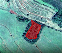Por meio de satélite, Polícia Ambiental identifica degradação e multa dono de fazenda (Foto: Divulgação)