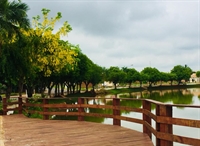 Cardoso celebra 89 anos de história 