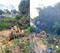 Temporal provoca estragos em Votuporanga e mobiliza equipes da Prefeitura