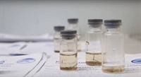 Catanduva contabiliza 1.874 confirmações de dengue, do começo do ano até agora (Foto: Reprodução)
