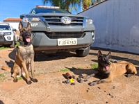 Operação conjunta entre PF e PM desmantela organização criminosa de Votuporanga e região