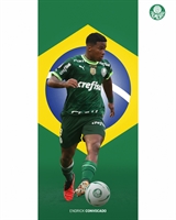 Um dos destaques está na presença de Endrick, joia de 17 anos que tem se destacado pelo Palmeiras  (Foto: Divulgação/Palmeiras)