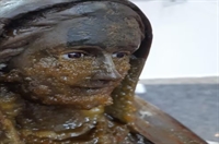 Comissão vai investigar imagem de Nossa Senhora que jorra mel em cidade da região