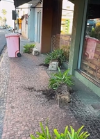 Vândalo destrói plantas, quebra vasos e vidraças de lojas no centro de Votuporanga