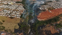 Incêndio mata animais silvestres em reserva ambiental