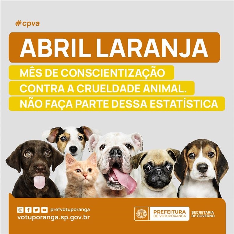 Administração de Ituporanga vai lançar campanha contra maus-tratos a  animais - Prefeitura Municipal de Ituporanga