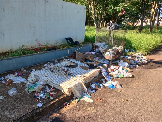 Moradores denunciaram descarte irregular e a Saev resolveu o problema no dia de ontem (Foto: Contribuição/Leitor)