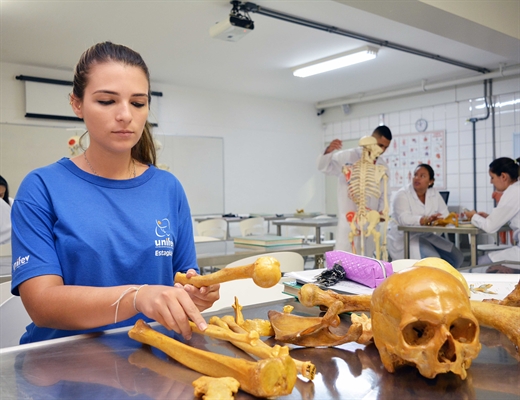 Há 20 anos, a Ejunifev é a responsável por realizar a intermediação entre a Unifev e as empresas cadastradas pelo setor, que buscam por estudantes das mais variadas áreas de conhecimento (Foto: Divulgação/Unifev)