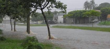 Temporal de quinta-feira atingiu 42,5 milímetros