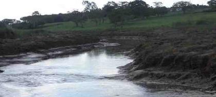 Ruralistas pressionam por novo Código Florestal