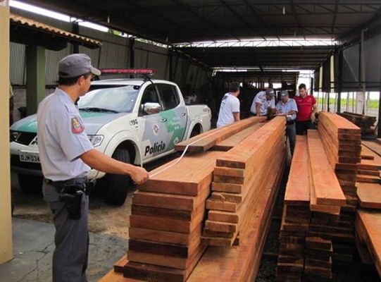 Polícia Ambiental faz operação contra extração ilegal de madeira na região
