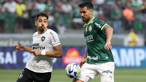 O Botafogo de Eduardo encara o Palmeiras de Luan na noite de hoje pelo Campeonato Brasileiro  (Foto: Cesar Greco/Palmeiras/by Canon)