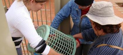 Coopervinte altera serviço de coleta