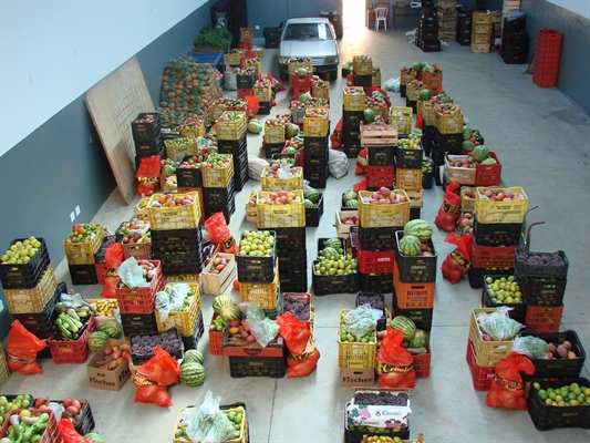 Marli Pignatari coordena entrega de alimentos da Codafavo a entidades