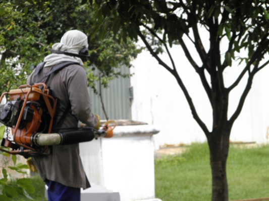 Cidade chega na metade de casos para epidemia