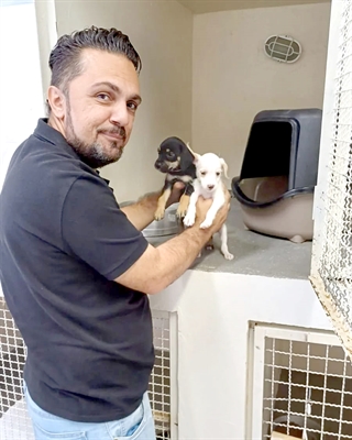 A “cãofusão” entre os protetores de animais continua. O projeto de Chandelly, que cria o “Banco de Ração” em Votuporanga, divide opiniões dentro da própria causa animal  (Foto: Redes Sociais)