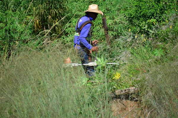 A fiscalização de terrenos de 2019 começou no dia 1º de março e é realizada três vezes ao ano (Foto: Prefeitura de Votuporanga)