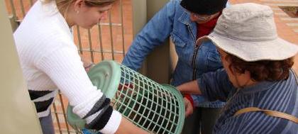 Coopervinte não fará coleta de recicláveis esta semana