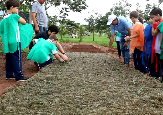 Para a diretora do Colégio, Profa. Esp. Terezinha Joana de Carvalho do Amaral, o envolvimento desde cedo com a horta influencia a maneira como as crianças irão lidar com questões relacionadas ao Meio Ambiente (Foto: Divulgação/Unifev)