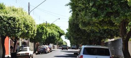 Copas de árvores invadem as ruas de Votuporanga