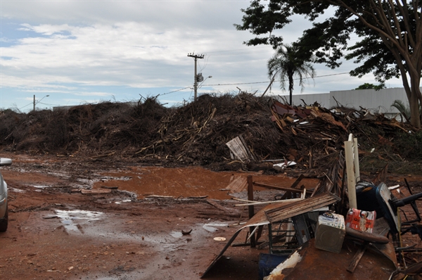 Ecotudo não recebe mais galhos de árvores