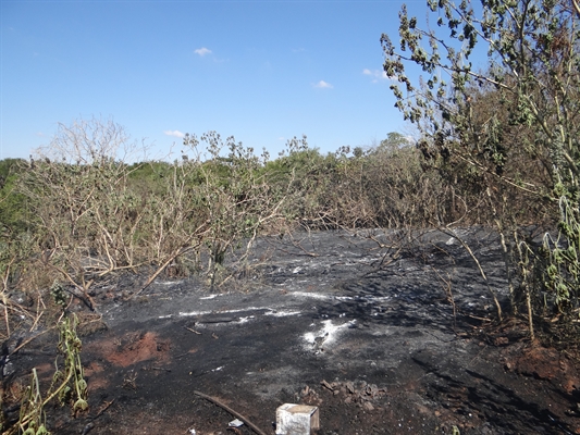 O Corpo de Bombeiros de Votuporanga atendeu a ocorrência e informou que foram queimados cerca de 10 mil m² de capim (Foto: Gabriele Reginaldo/A Cidade)