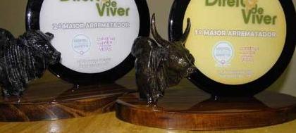 2º Leilão Direito de Viver premia arrematadores