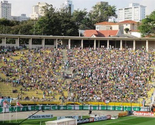 Sequência em casa pode garantir classificação ao Palmeiras