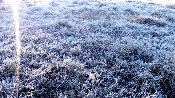 Temperaturas devem voltar a cair nos próximos dias podendo chegar a 2 graus com possibilidade de geada no município (Foto: A Cidade)  