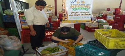 Falta de local para envase de mel preocupa Coapinsp