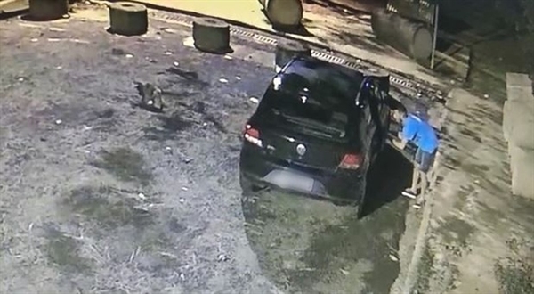 Homem aproveitou que a mulher estava dormindo, abriu a porta do passageiro e pegou a bolsa (Imagem: Divulgação/Guarda Municipal)