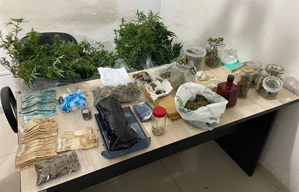 Os policiais descobriram uma estufa altamente sofisticada para a produção de ‘maconha gourmet’ (Foto: Baep)