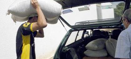 Irregularidades prejudicam doação de t de feijão