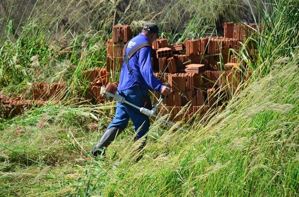  Proprietários de terrenos em Votuporanga têm até o próximo dia 1º para limpar os imóveis antes de serem autuados e multados  (Foto: Prefeitura de Votuporanga)