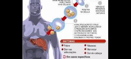 Quem tem até 29 anos pode tomar vacina de Hepatite B