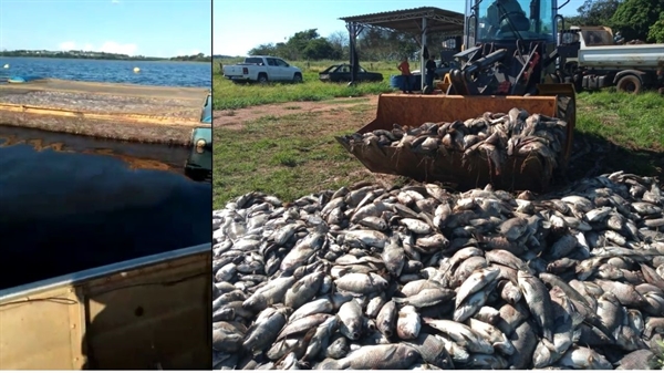 Desastre ambiental é investigado (Foto: Arquivo pessoal/ Prefeitura de Cardoso)