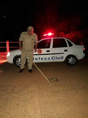 (Foto: Divulgação/Defesa Civil)