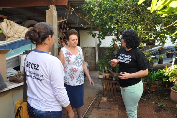Para combater a doença no município, ações ambientais são desenvolvidas pela Secretaria  (Foto: Divulgação/Prefeitura de Votuporanga)