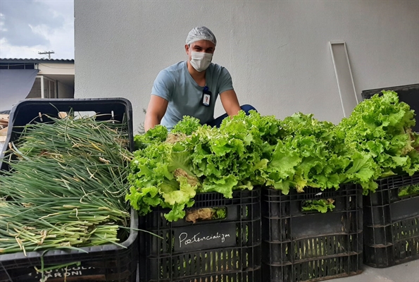 A união teve início na pandemia do Coronavírus, com a doação frequente de verduras para o Hospital (Foto: Santa Casa de Votuporanga)