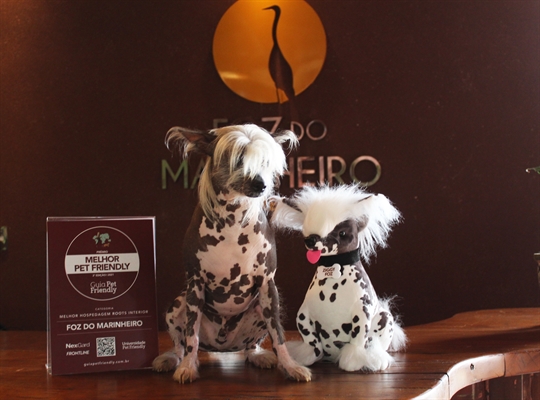 Em parceria com clínicas veterinárias da região o hotel irá destinar 10% do valor da venda do mascote para a castração de animais (Foto: Divulgação)