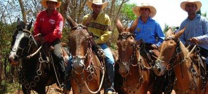 Comitiva Os Baluartes promove cavalgada