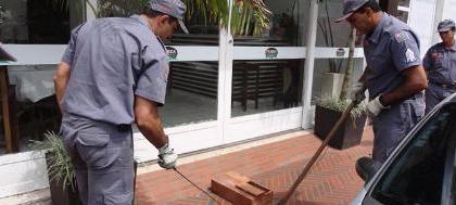 Cobra jararaca é capturada no centro da cidade
