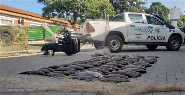 Os flagrantes ocorreram graças a denúncias anônimas durante a Operação Impacto (Foto: Divulgação)