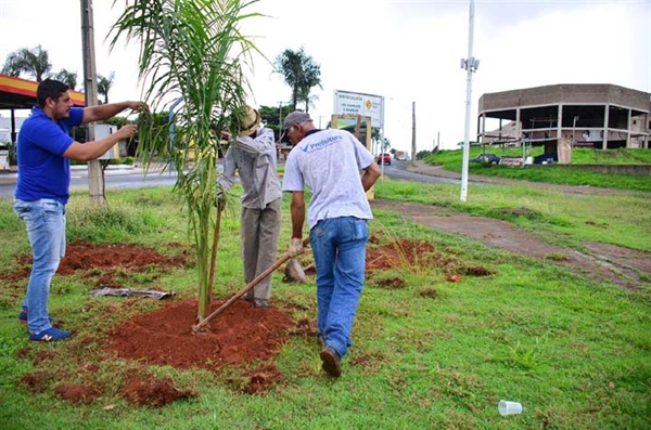 Secretaria da Cidade investe em paisagismo de rotatórias do município